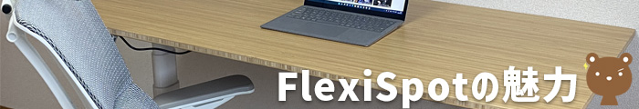 FlexiSpotの魅力