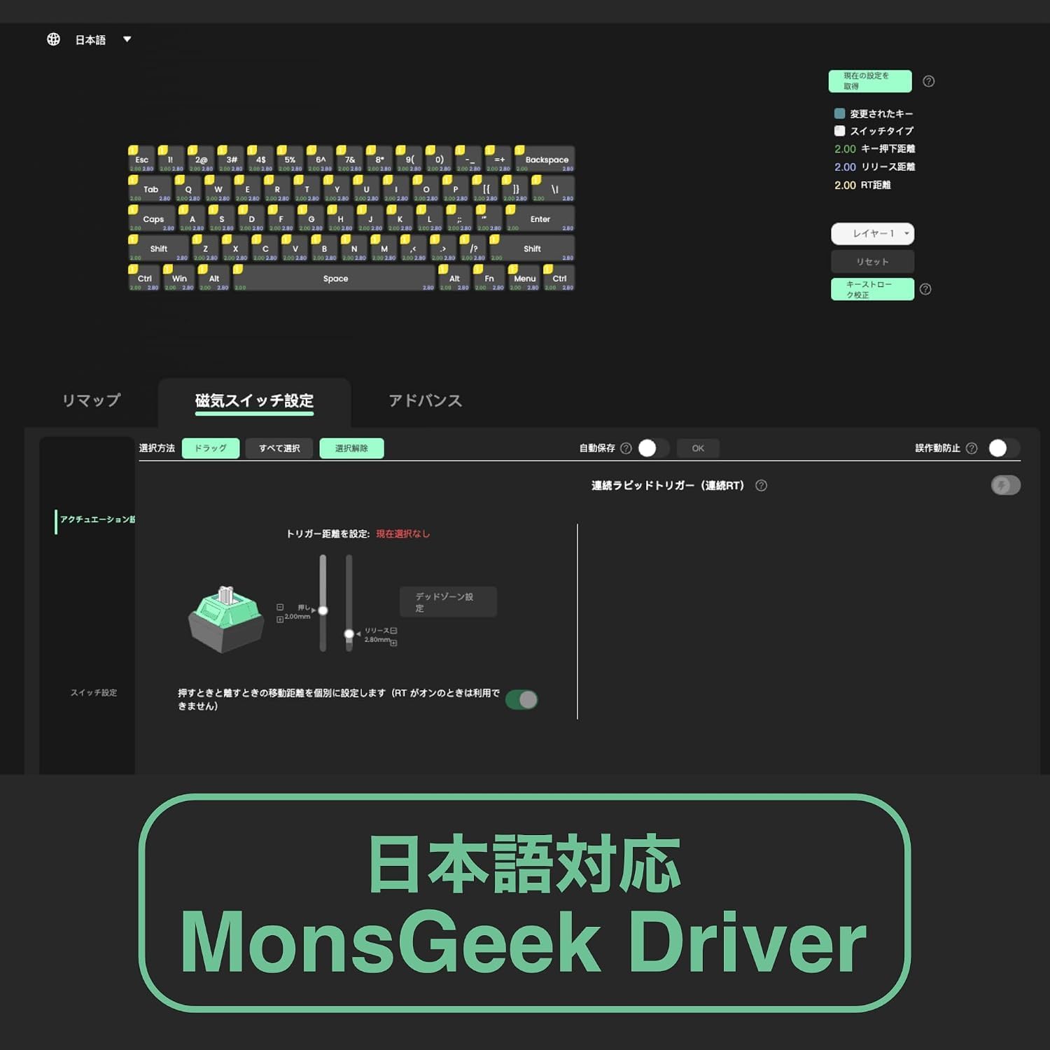 日本語ドライバー